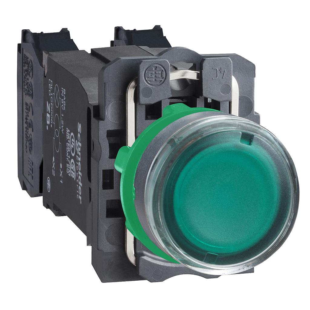 Schneider  Green flush complete illum pushbutton (D)22 spring return 1NO+1NC 110.120V