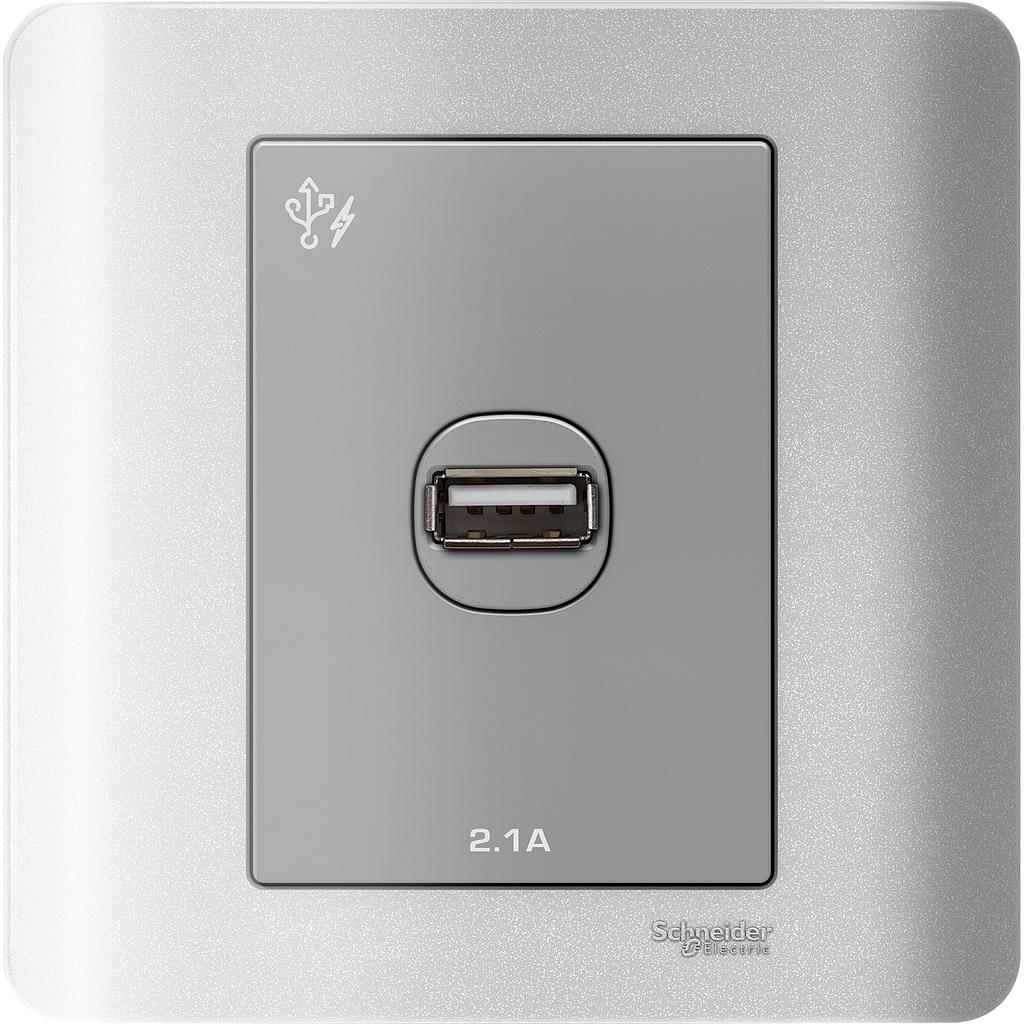 Schneider  ZENcelo - 1 x 2.1A USB Charger