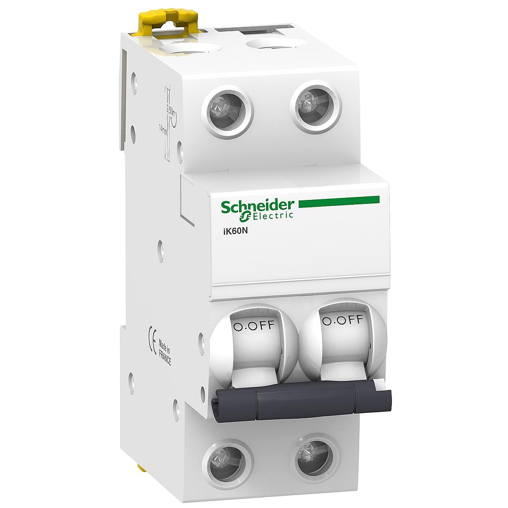 Schneider Acti 9 ACTI 9 IK60N 2P 10A 6KA KURVA C 