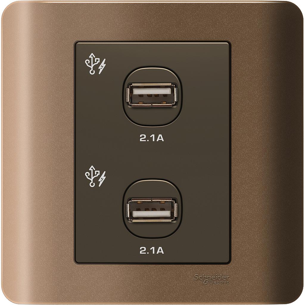 Schneider ZENcelo ZENCELO USB CHARGER 2 GANG  2.1A SILVER BRONZE