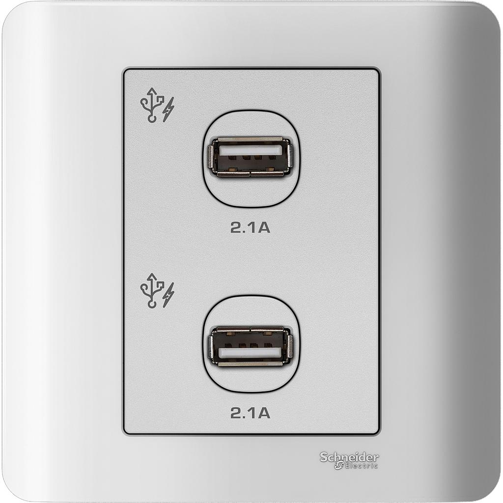 Schneider ZENcelo ZENCELO USB CHARGER 2 GANG  2.1A WHITE
