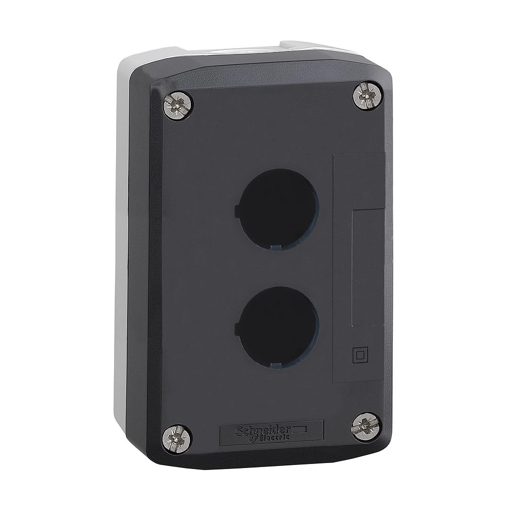 Schneider  Dark grey empty enclosure lid with light grey base - 2 cut-outs