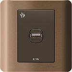 Schneider ZENcelo ZENCELO USB CHARGER 1 GANG 2.1A SILVER BRONZE