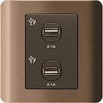 Schneider ZENcelo ZENCELO USB CHARGER 2 GANG  2.1A SILVER BRONZE
