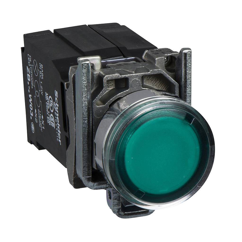 Schneider  Green flush complete illum pushbutton (D)22 spring return 1NO+1NC 110.120V