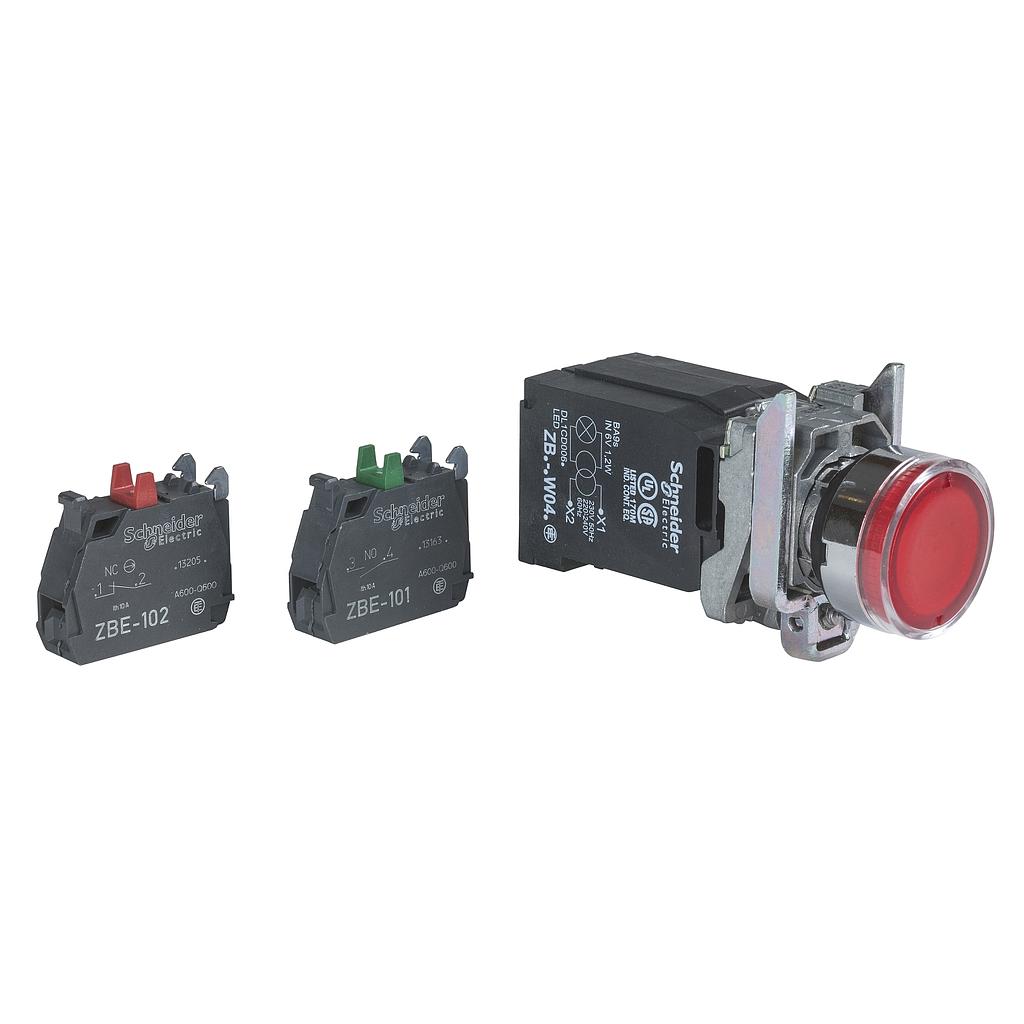 Schneider  ILLUMINATED PUSHBUTTON