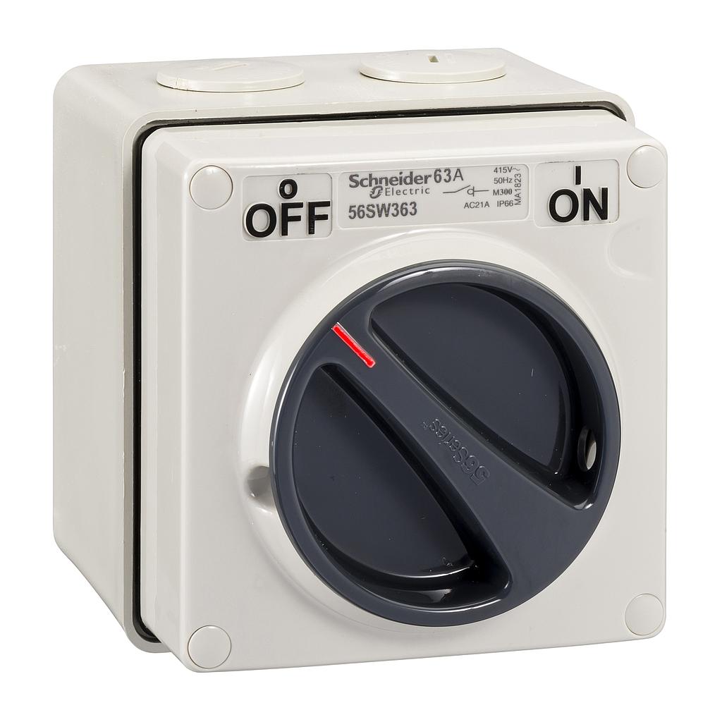 Schneider  415V 63A TP SW IP66