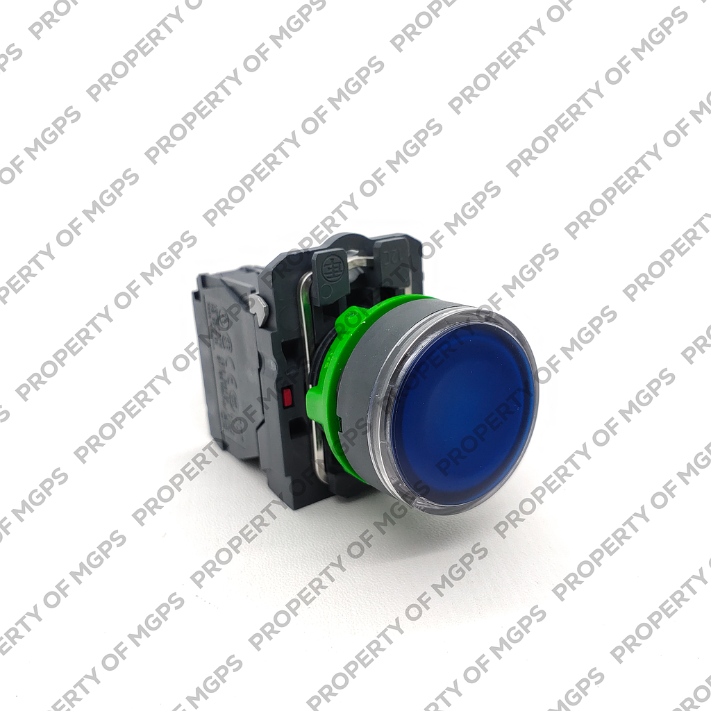 Schneider  ILLUMINATED PUSHBUTTON