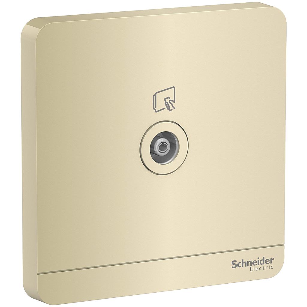 Schneider  AVATARON TV SOCKET WINE GOLD