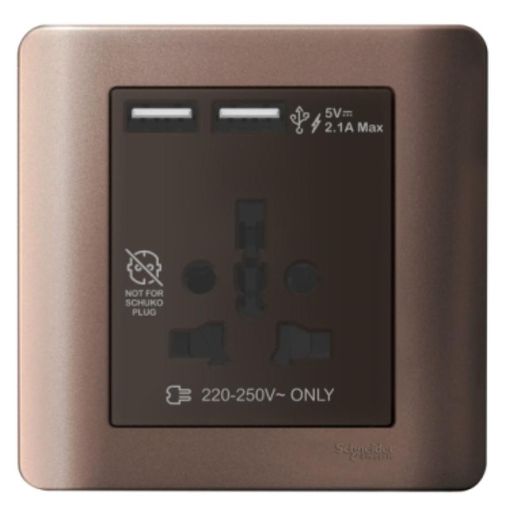 Schneider  ZENCELO INT SOCKET W USB 2.1A SILVER BRONZE