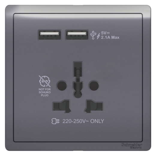 Schneider  PIENO INT SOCKET W USB 2.1A LAVENDER SILVER