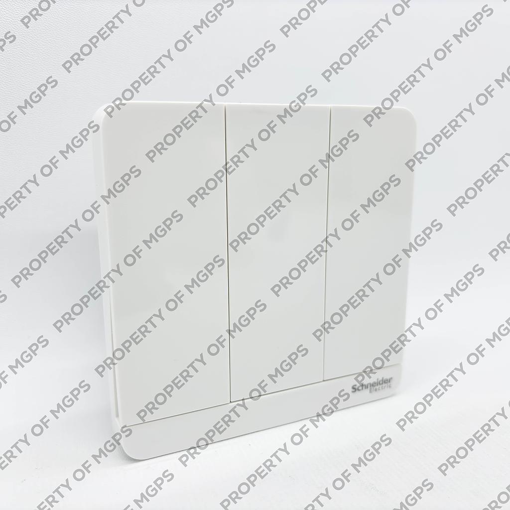 Schneider  16AX 250V 3G 2W Sw w LED, WE