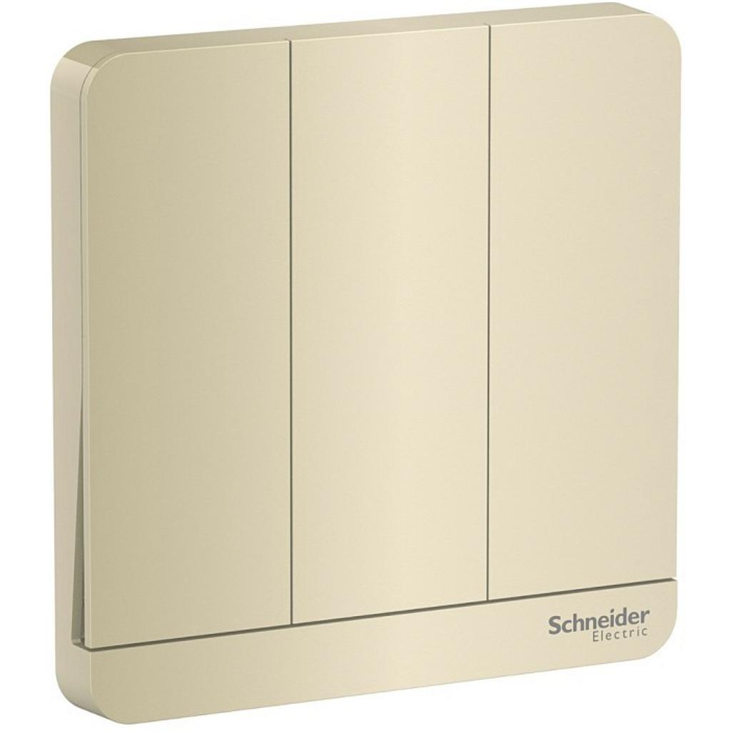 Schneider  16AX 250V 3G 2W Sw w LED, WG