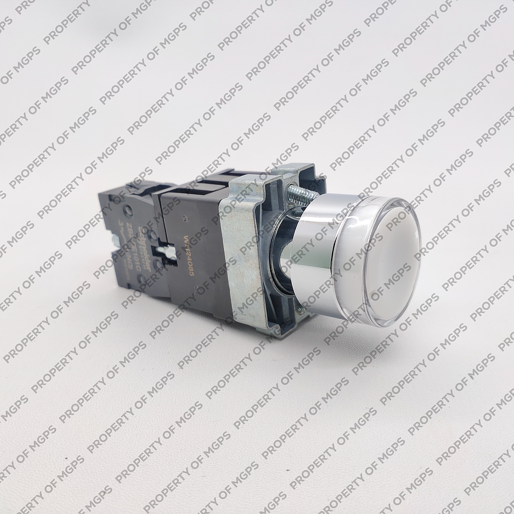 Schneider  ILUMINATED PUSH BUTTON METAL PUTIH 1NO 220VAC