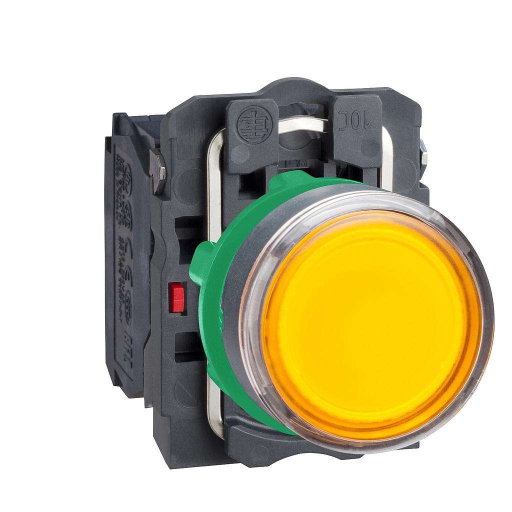 Schneider  Orange flush complete illum pushbutton (D)22 spring return 1NO+1NC 110.120V
