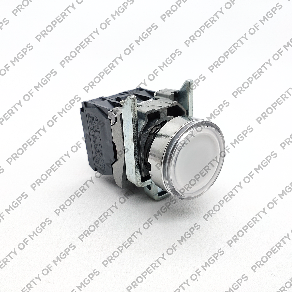 Schneider  White flush complete illum pushbutton (D)22 spring return 1NO+1NC 220.240V