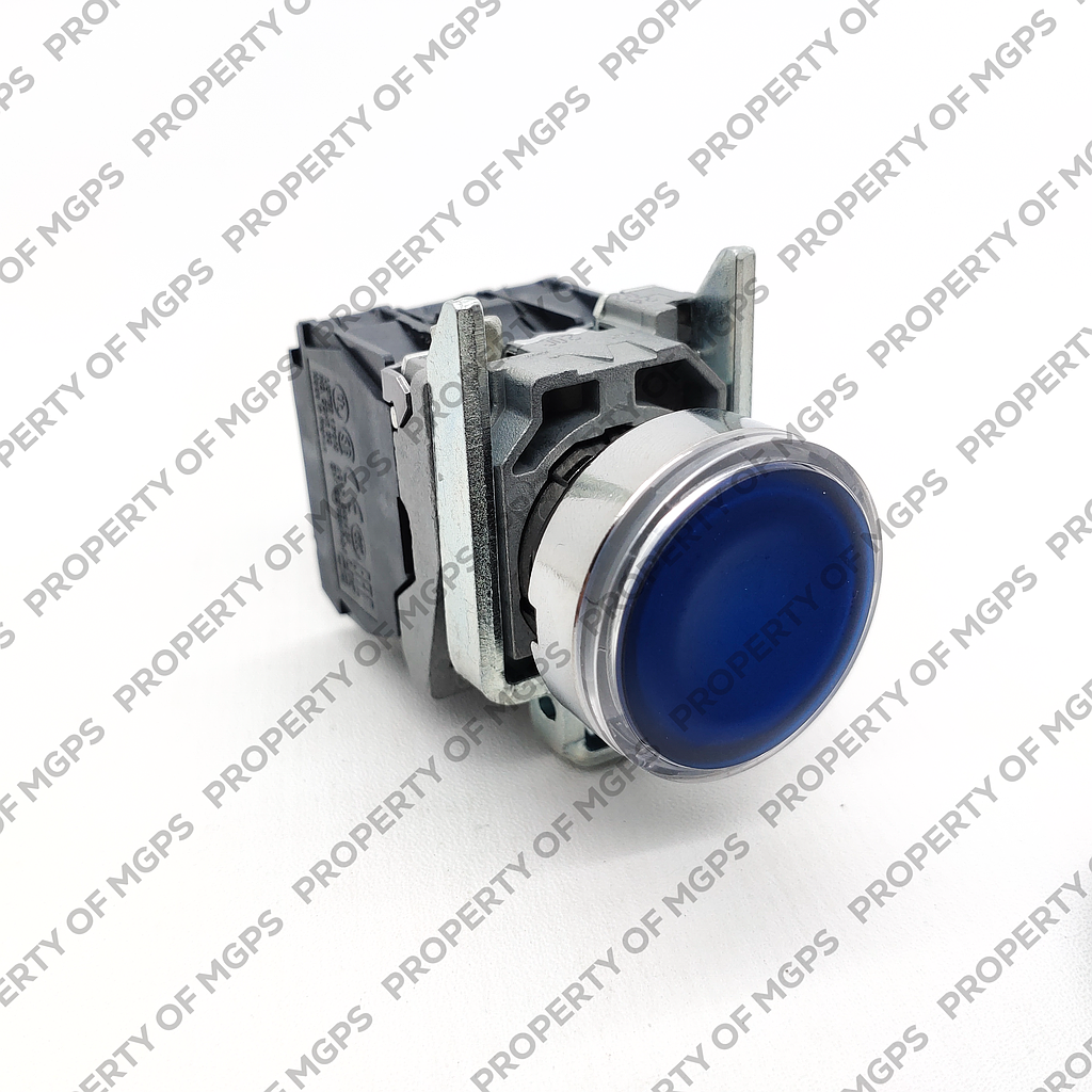 Schneider  Blue flush complete illum pushbutton (D)22 spring return 1NO+1NC 220.240V