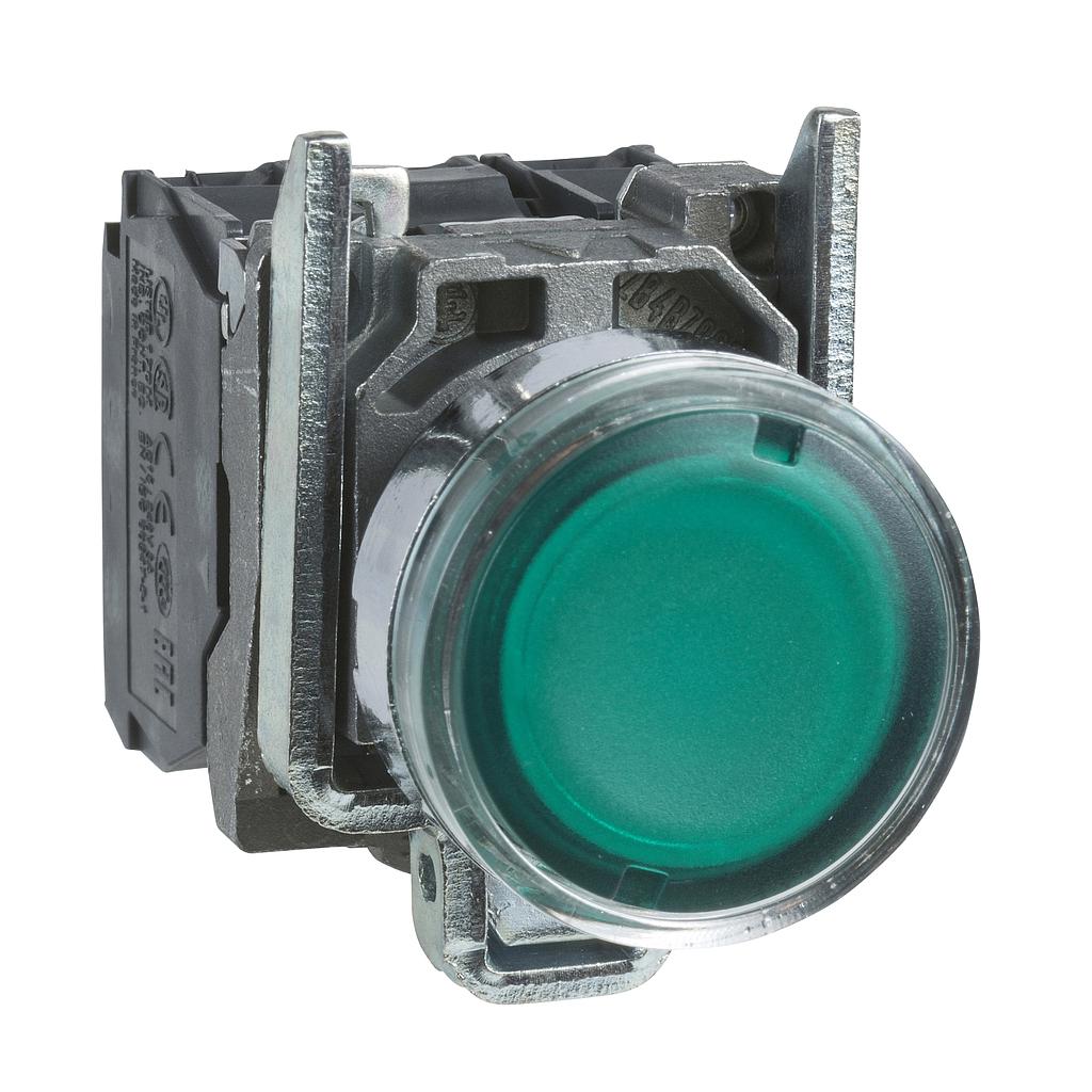 Schneider  Green flush complete illum pushbutton (D)22 spring return 1NO+1NC 250V