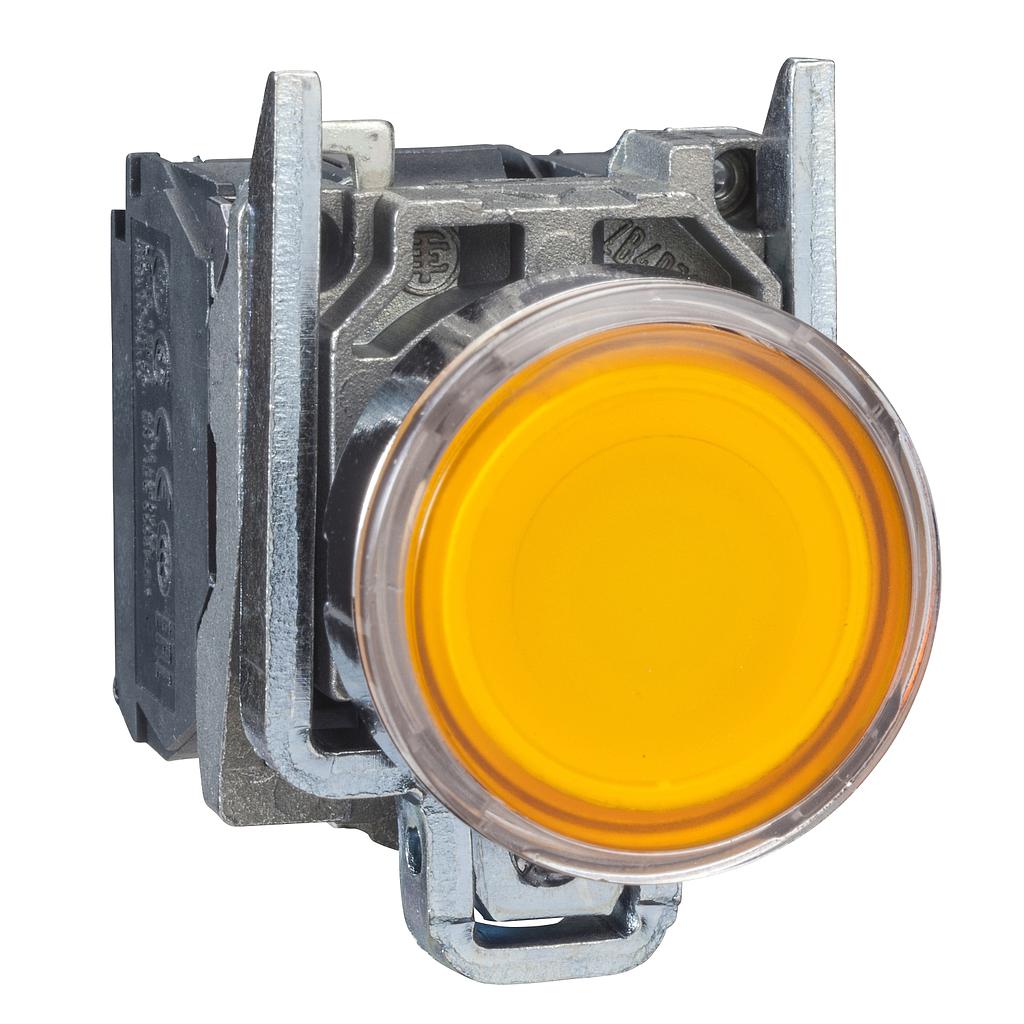 Schneider  Orange flush complete illum pushbutton (D)22 spring return 1NO+1NC 250V
