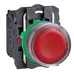Schneider  ILLUMINATED PUSHBUTTON