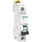Schneider Acti 9 ACTI 9 IC60N 1P 10A 6KA KURVA C 