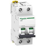 Schneider Acti 9 ACTI 9 IC60N 2P 50A 6KA KURVA C 