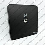 Schneider  AVATARON TV SOCKET DARK GREY