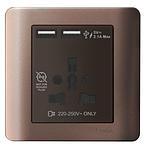 Schneider  ZENCELO INT SOCKET W USB 2.1A SILVER BRONZE