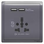 Schneider  PIENO INT SOCKET W USB 2.1A LAVENDER SILVER