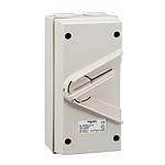 Schneider  KAVACHA  35A 440V Surface Mount Double Pole Isolating Switch