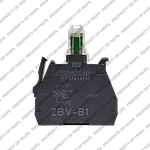   ZBVB1