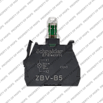  ZBVB5