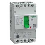 Schneider  GOMCCB 200F 3P3D 63A ADJ