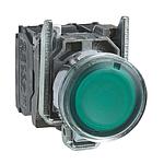 Schneider  Green flush complete illum pushbutton (D)22 spring return 1NO+1NC 250V